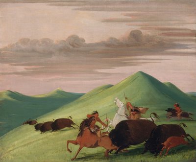 Chasse au bison, taureau protégeant une vache et un veau - George Catlin