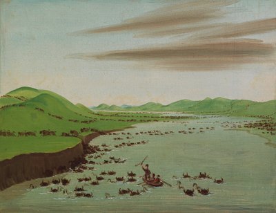 Troupeaux de bisons traversant le Haut Missouri, 1832 - George Catlin