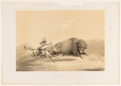 Chasse aux bisons, Chase--no. 5 - George Catlin