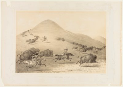 Chasse aux bisons, Chase--no. 6 - George Catlin