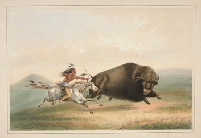 Chasse au bison, poursuite, pl. 5 du Portfolio des Indiens d