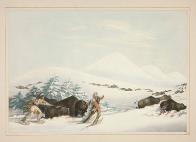 Chasse au bison, en raquettes, pl. 15 du portfolio des Indiens d