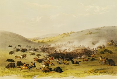 Chasse au bison, encerclement, c.1832 - George Catlin