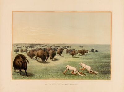 Chasse au bison, sous la peau du loup blanc--no. 13 - George Catlin