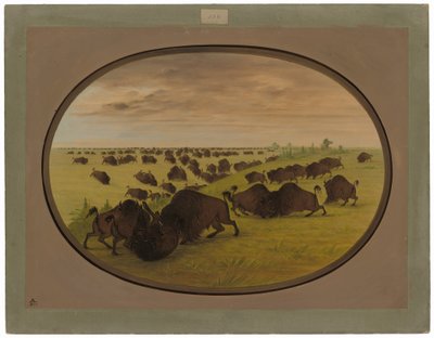 Taureaux se battant - George Catlin
