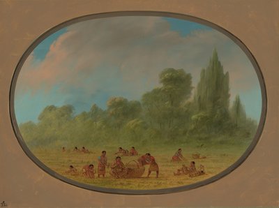 Indiens Caddo cueillant des fraises sauvages, 1861-1869 - George Catlin
