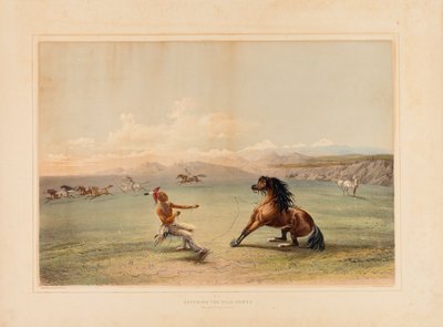 Attraper le cheval sauvage--no. 4 - George Catlin