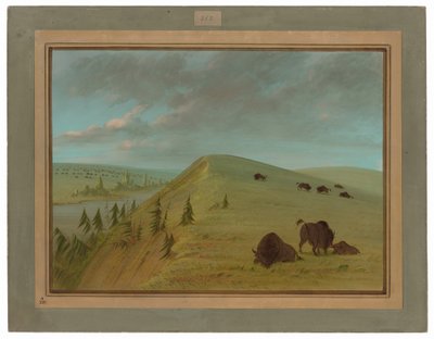  - George Catlin