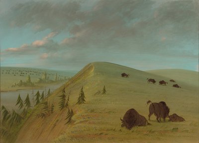 Falaises de cèdre, 1861-1869 - George Catlin