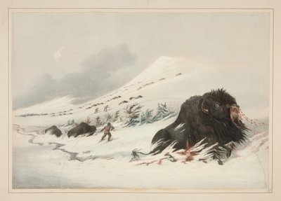  - George Catlin