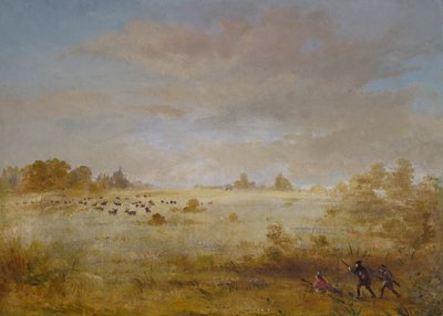 Élan broutant dans une prairie d