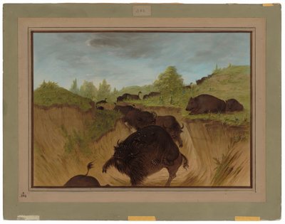Ours grizzlis attaquant des buffles - George Catlin