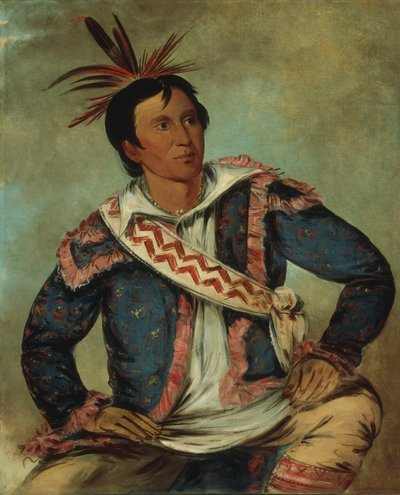 Há-tchoo-túc-knee, la tortue serpentine, une métisse - George Catlin