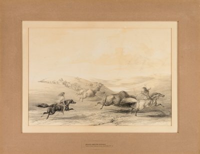 Indiens chassant le buffle--no. 29 - George Catlin