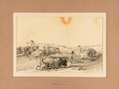 Indiens chassant le buffle--no. 7 - George Catlin