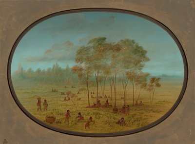 Indiens Kiowa Récoltant des Raisins Sauvages, 1861-1869 - George Catlin