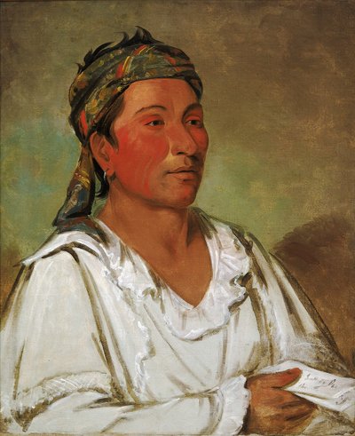 Lay-lóo-ah-pee-ái-shee-kaw, herbe, buisson et fleur, semi-civilisé - George Catlin