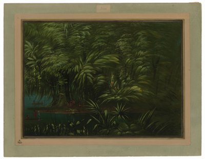 Forêt luxuriante sur la rive de l