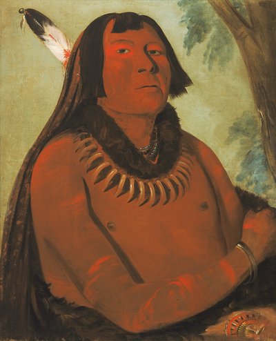 Mah-táhp-ta-a, se précipite par le milieu, un brave - George Catlin