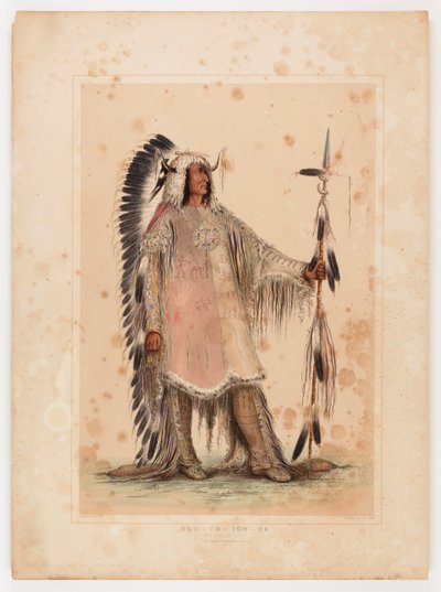 Mah-to-toh-pa, le chef des Mandans - George Catlin