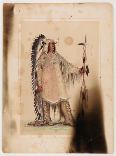 Mah-to-toh-pa, le chef des Mandans - George Catlin