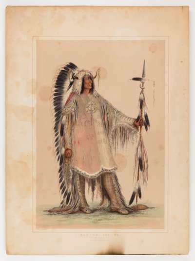 Mah-to-toh-pa, le chef des Mandans - George Catlin