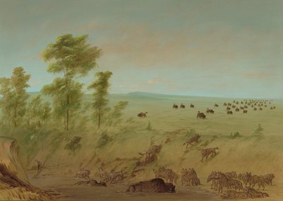Buffle embourbé et loups, 1861-1869 - George Catlin