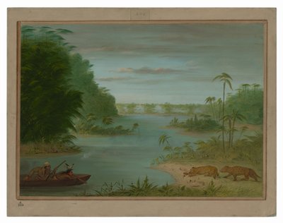 Pont de Palmiers et chasse au tigre - George Catlin