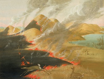 Brûlage des prairies - George Catlin