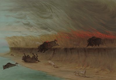 Prairies en feu, 1861-1869 - George Catlin