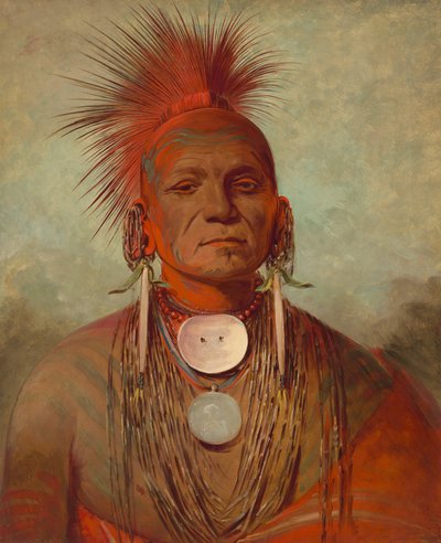 See-non-ty-a, un homme-médecine Iowa - George Catlin