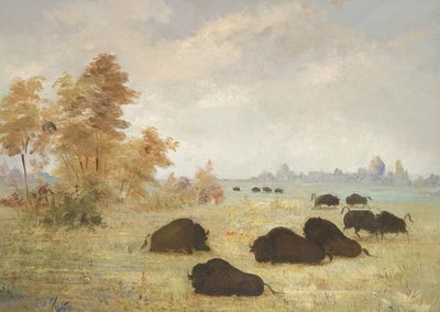 Traque aux buffles, Arkansas - George Catlin