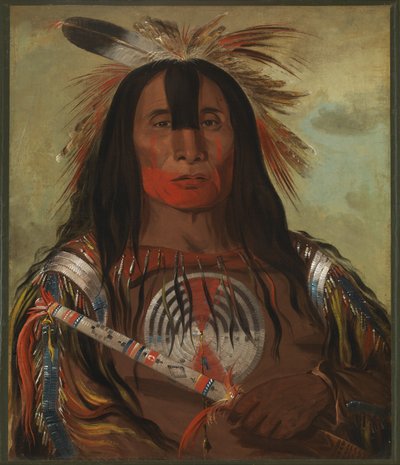 Stu-mick-o-súcks, graisse de dos de buffle, chef de tribu, tribu des sangs - George Catlin