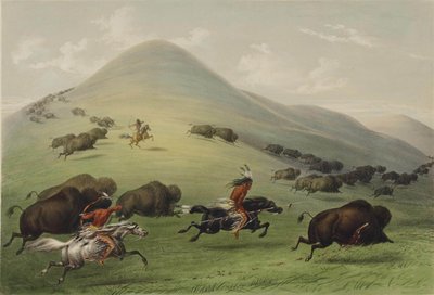 La Chasse au Bison - George Catlin