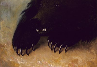 Armes et physionomie du grizzli - George Catlin