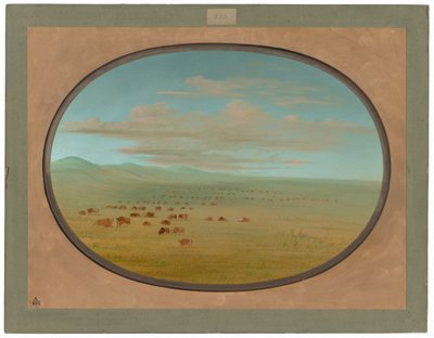 Bétail sauvage broutant sur la Pampa del Sacramento - George Catlin