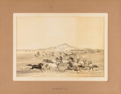 Les chevaux sauvages au jeu--no. 3 - George Catlin