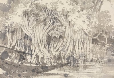 Un arbre Pipul - George Chinnery