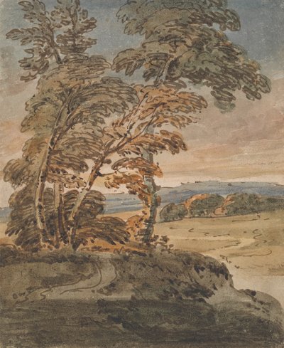 Arbres sur un chemin de colline - George Chinnery