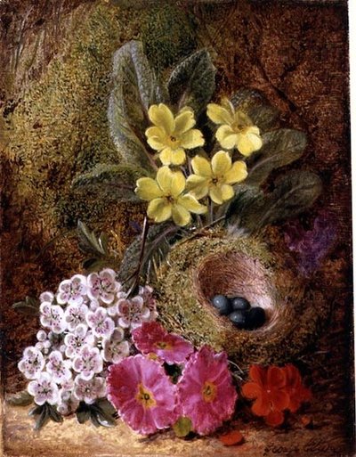 Nature morte avec nid d