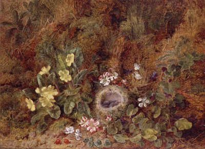Nature Morte avec Nid d