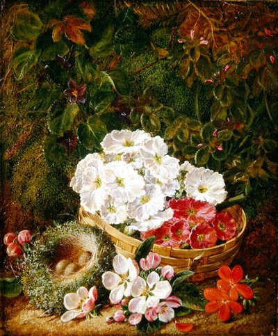 Nature morte avec nid d