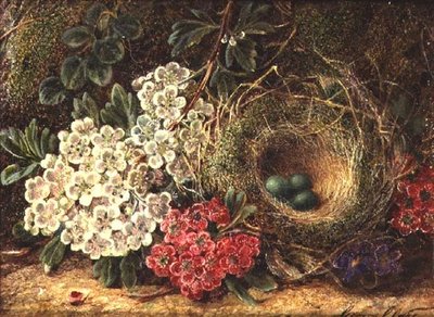 Nature morte avec nid d