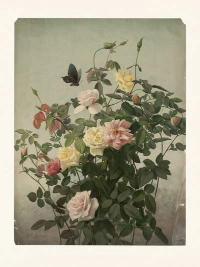 Roses - George Cochran Lambdin