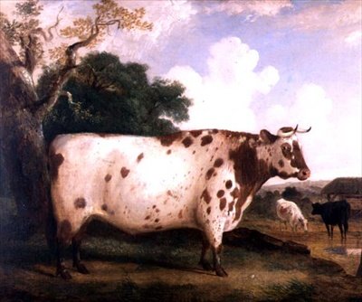 Un taureau Shorthorn dans un paysage - George Cole