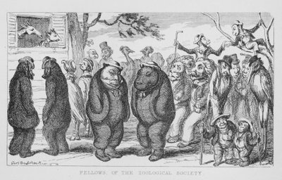 Membres de la Société zoologique - George Cruikshank