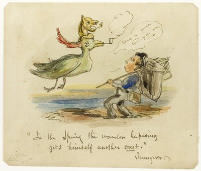 Au printemps, le Vanneau de la Wanton s