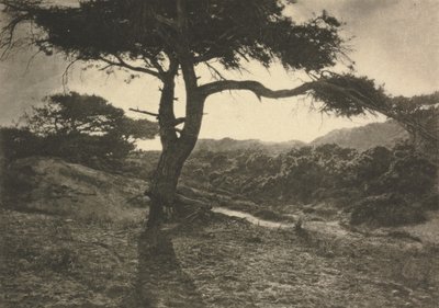 Camera Work: Le long bras - George Davison