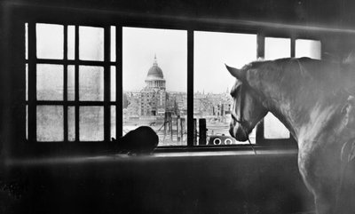 Cheval surplombant la cathédrale Saint-Paul depuis une écurie à plusieurs étages, Londres - George Davison Reid