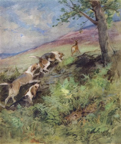 Illustration pour The Story of a Red Deer - George Denholm Armour